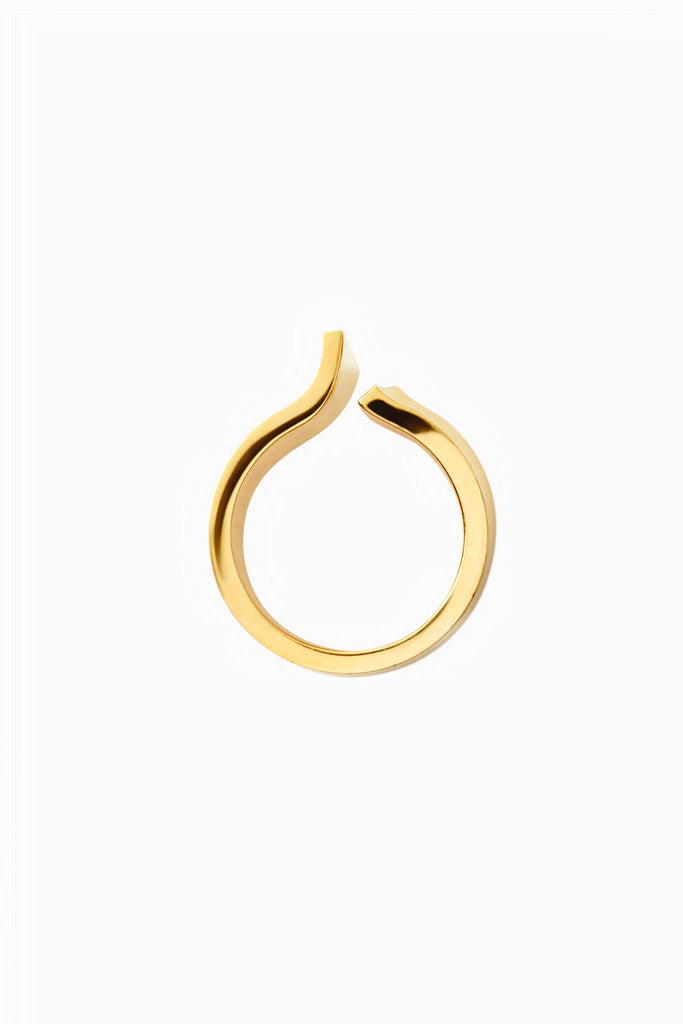 The Broken Ring